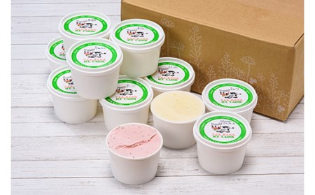 《2026年4月発送》北海道産 手作りアイスクリーム 120ml×12個セット (おまかせ詰め合わせ)  南幌町 NP1-023