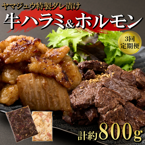 ヤマジュウの特選タレ漬け！牛ハラミ肉＆国産牛ホルモン計８００ｇ【３回定期便】 頒布会
