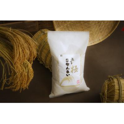 ふるさと納税 湖南市 滋賀こなんまい 極 計10kg