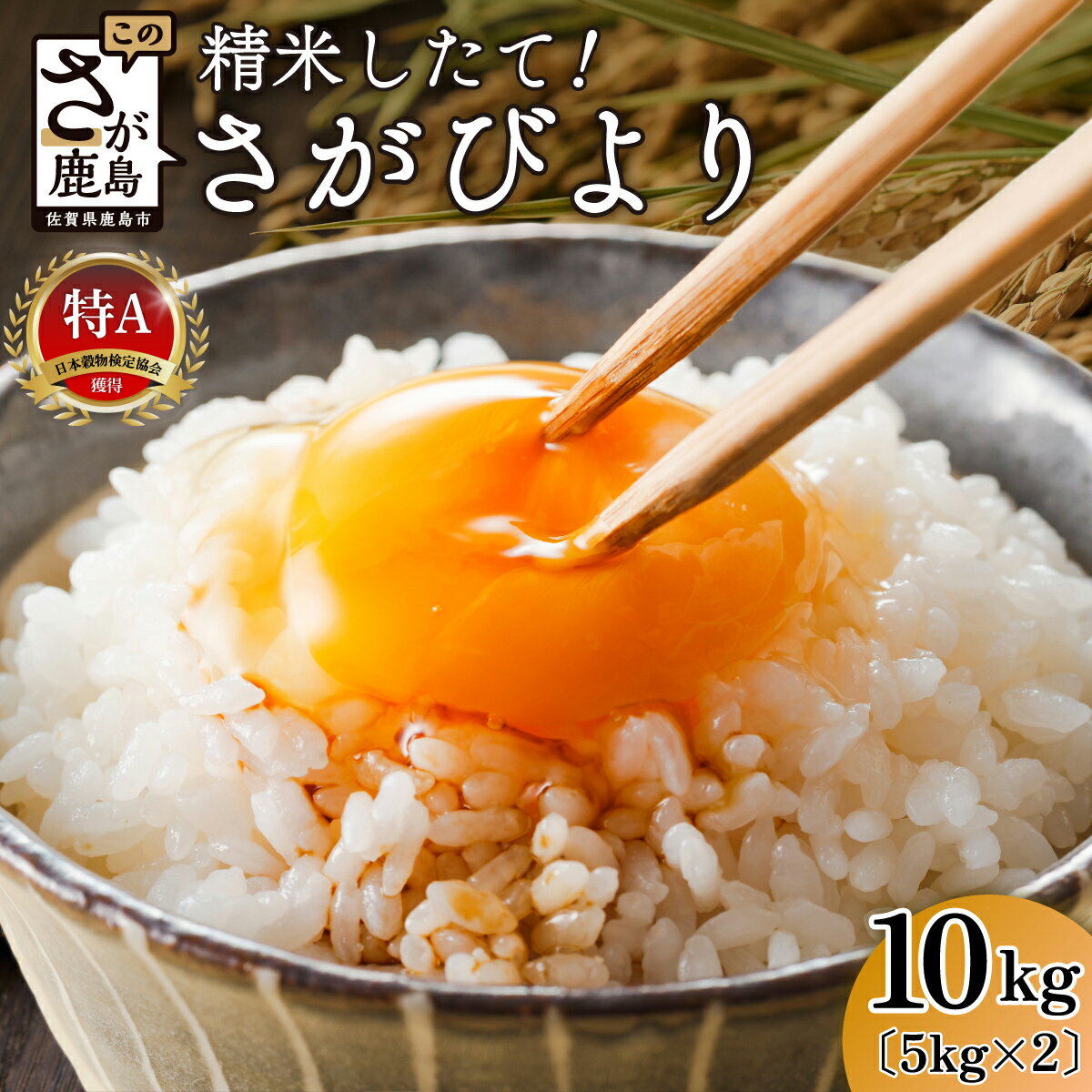 【ふるさと納税】特別寄付額3/31迄 さがびより 令和7年産 白米 5kg × 2袋 計10kg 鹿島市産 特A 獲得 米 | ふるさと納税 ふるさと 米 お米 新米 精米 こめ 国産 佐賀県 鹿島市 ふるさと 人気 送料無料 B-167