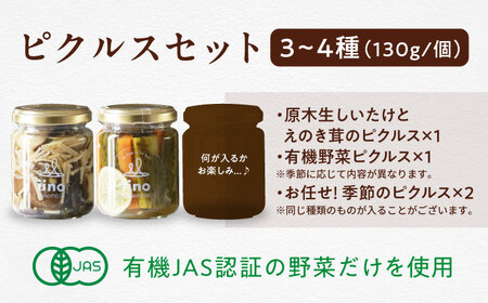 ピクルスセット 4個入り 愛媛県大洲市/iino assemble | ピクルス 野菜 詰め合わせ セット 加工食品 漬物[AGAA015]
