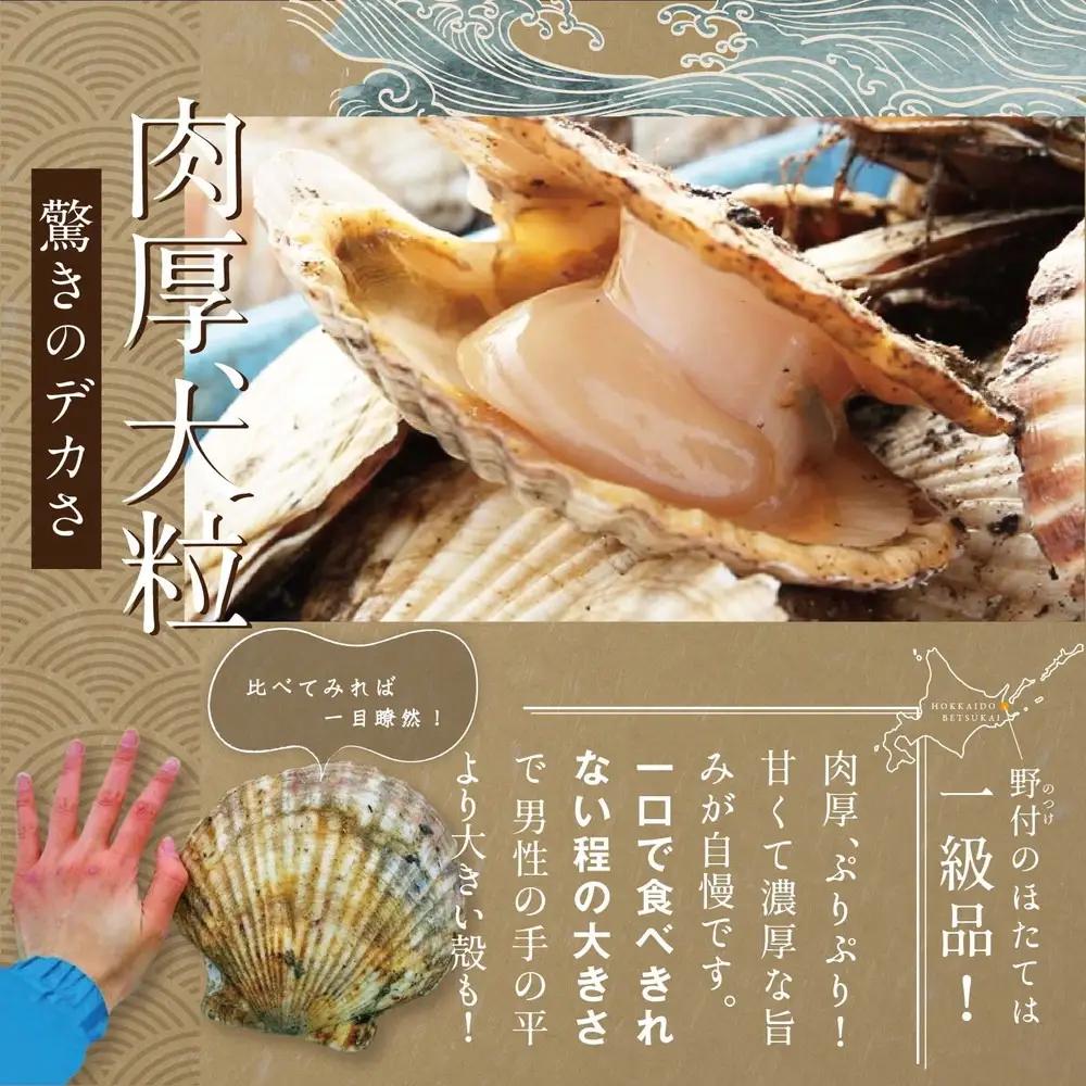 隔月3回定期便 北海道 野付産 ホタテ ジャンボ ホタテ 500g ほたて 貝柱