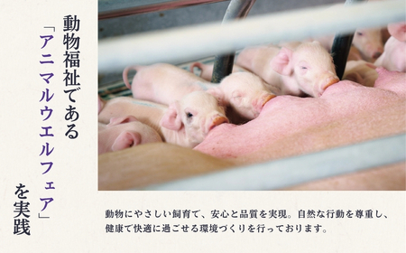 鬼の宝ポークしゃぶしゃぶ食べ比べセット 1.5kg ( ロース・肩ロース・バラ肉 各500g )