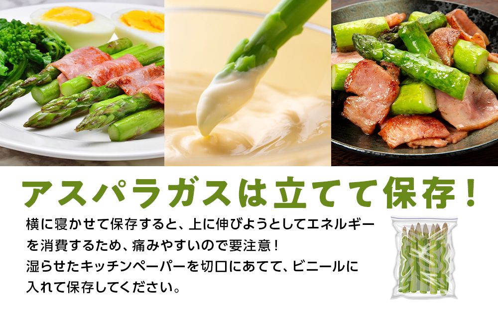 【2027年春発送】 ハウスグリーンアスパラ 1? L〜2Lアップ