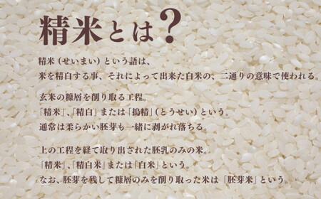 令和7年産 ヒノヒカリ 精米 15kg  奈良県産 | お米 ライス  ヒノヒカリ 奈良県 平群町