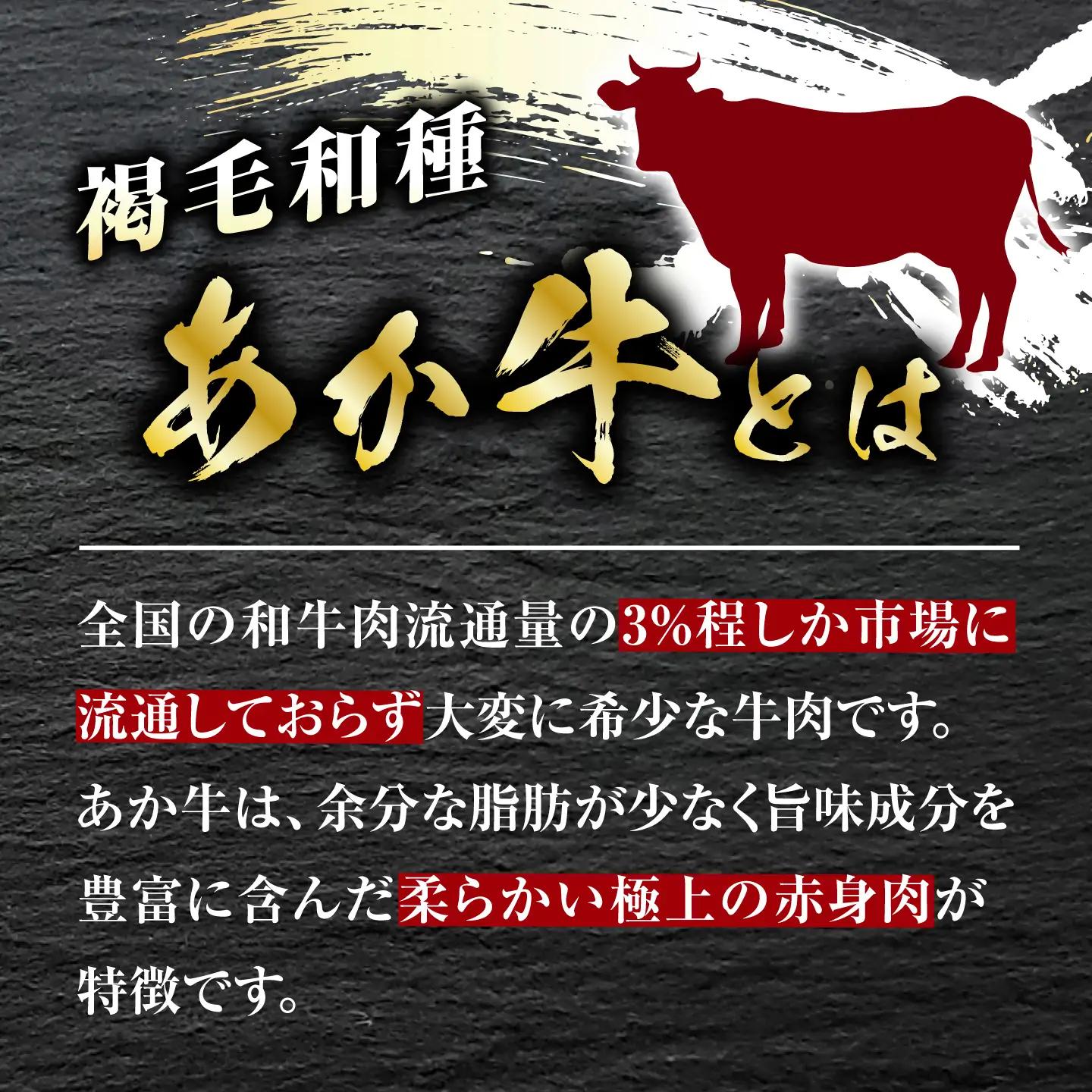 あか牛 100% ハンバーグ 120g × 8個【有限会社 三協畜産】 ハンバーグ 赤牛 セット 牛肉 あかうし 熊本県産 [ZEB099-FW]