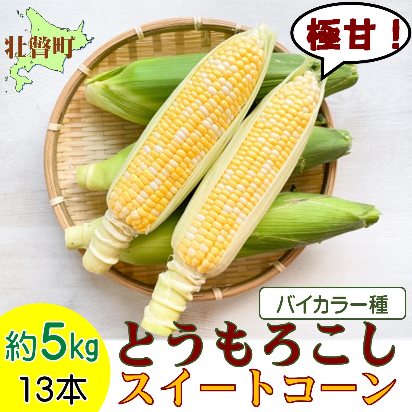 ＜2026年8月上旬よりお届け＞北海道壮瞥産 とうもろこし（スイートコーン）13本 約5kg SBTN001