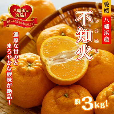 【ふるさと納税】2026年2月～順次出荷　甘さと酸味の絶妙なバランス!はじける果肉「不知火」約3キロ【C39-74】【配送不可地域：離島】【1620480】