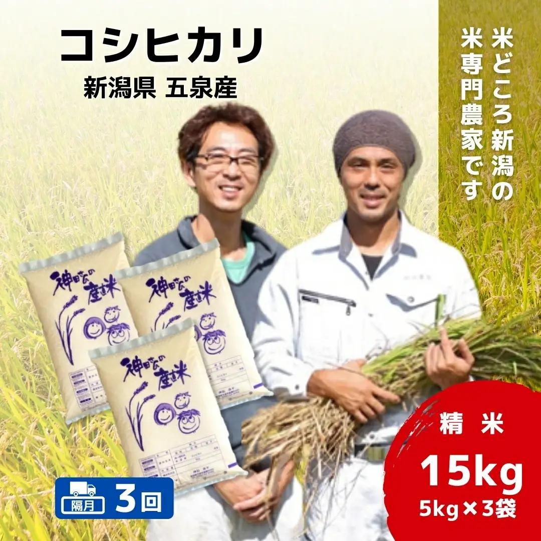 【定期便3回】令和8年産 コシヒカリ 15kg(5kg×3袋)×3回 隔月 こしひかり | 新潟県 五泉市 コシヒカリ
