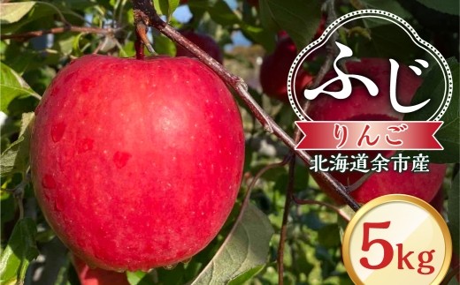 
                  【先行予約：2026年12月上旬より発送】りんご（ふじ）5kg【北海道余市町産】
                