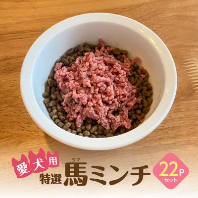 ふるさと納税 宇城市 特選馬ミンチ　22パックセット　大阪馬肉屋　ワンちゃん大喜び