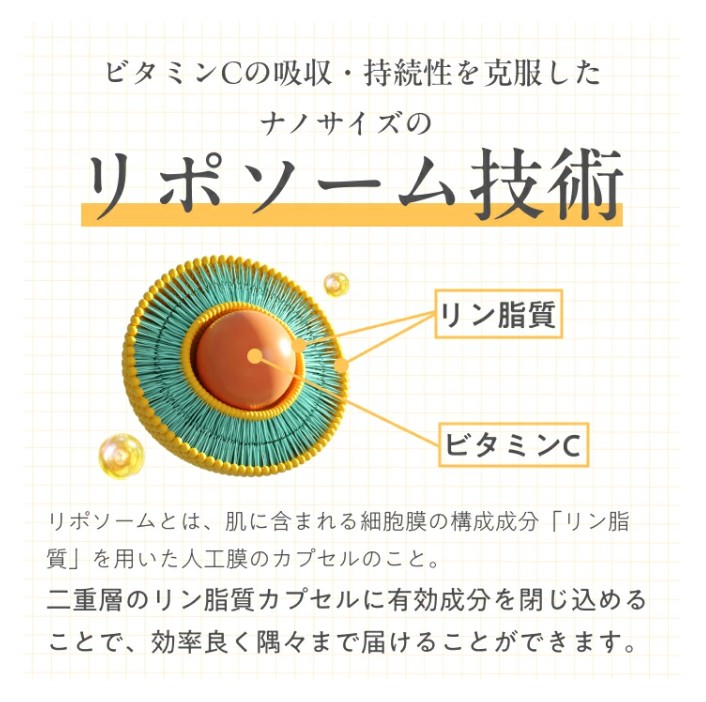 「Liposome Vitamin - 5C」高濃度リポソーム ビタミンC パウダー サプリメント（約30日分・個包装スティック）リポソームビタミンCを含む5種類の高濃度ビタミンC・合成保存料フリー・