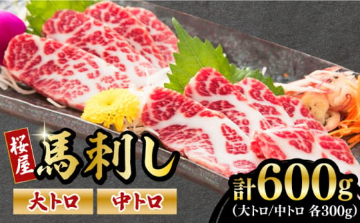 馬刺し 2種 大トロ 中トロ 計600g 300g×2パック 熊本 冷凍 馬肉 馬刺 ヘルシー【山都町（桜屋）】[YBW061]