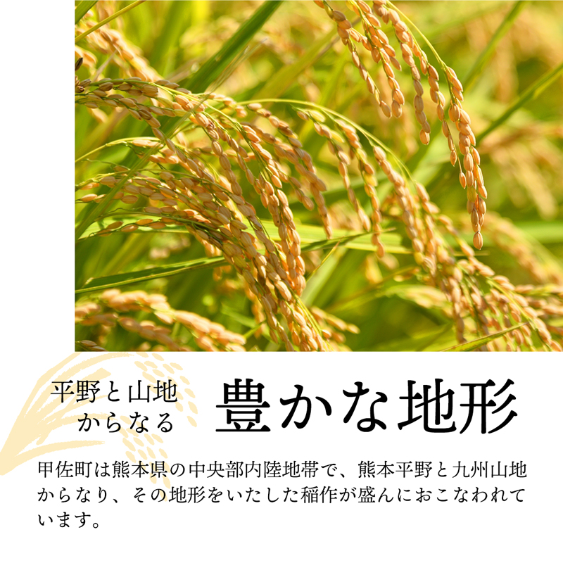 令和６年産『甲佐の輝き』無洗米16kg（5kg×2袋、6kg×1袋）【2025年2月より配送月選択可！】／出荷日に合わせて精米【価格改定ZH】_イメージ4
