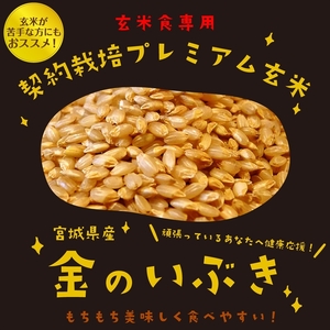 定期便6ヶ月 金のいぶきプレミアム玄米ごはん120g×24個 パックごはん パックご飯 防災 米 レトルト ごはんパック