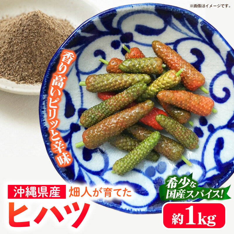 【ふるさと納税】【先行受付・2026年発送】畑人のヒハツ 約1kg - ピパーチ ロングペッパー ヒバーチ ナガコショウ フィファチ 国産 沖縄県産 先行予約 スパイス 香辛料 おすすめ 送料無料 八重瀬町