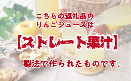 【 ストレートタイプ 】 りんごジュース 1000ml × 2本 ストレート果汁 100% 山岸ファーム 沖縄県への配送不可 飲料 果汁飲料 りんご リンゴ 林檎 ジュース 信州 農家直送 長野県 飯