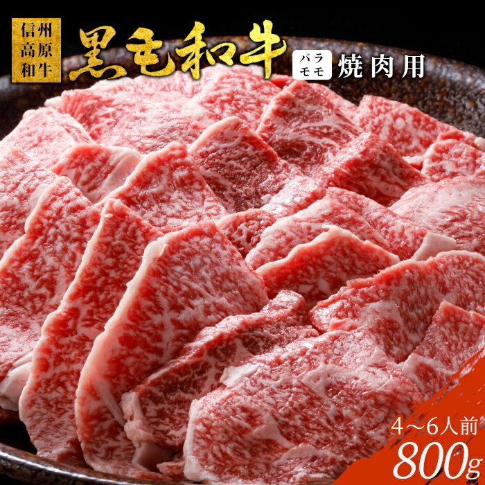 【ふるさと納税】信州高原和牛 焼肉 800g (400g×2)　バーベキュー バラ肉 モモ 厳選 盛り合わせ 信州 国産黒毛和牛 牛肉 和牛 焼き肉