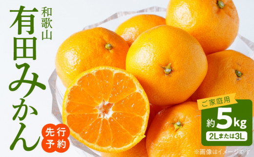 AT6307_【2025年先行予約】ご家庭用　和歌山有田みかん 約5kg (2L、3Lサイズいずれか)【湯浅町】
