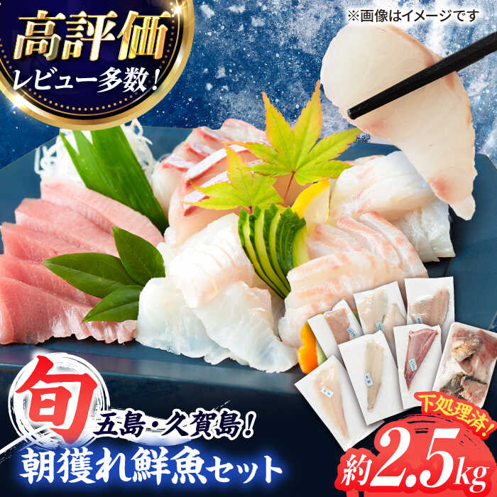 【ふるさと納税】【五島列島産】高級朝獲れ鮮魚 約2.5kg（真空パック/下処理済） 五島市/マルセイ水産[PBT002] 魚 鮮魚 詰め合わせ 刺身 五島 久賀島 海鮮 セット 旬 さかな さしみ