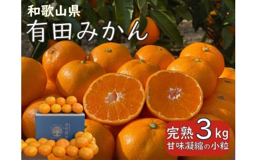 
            和歌山県 完熟 有田みかん 3kg 甘味凝縮 小粒 産直44年 武内園
          