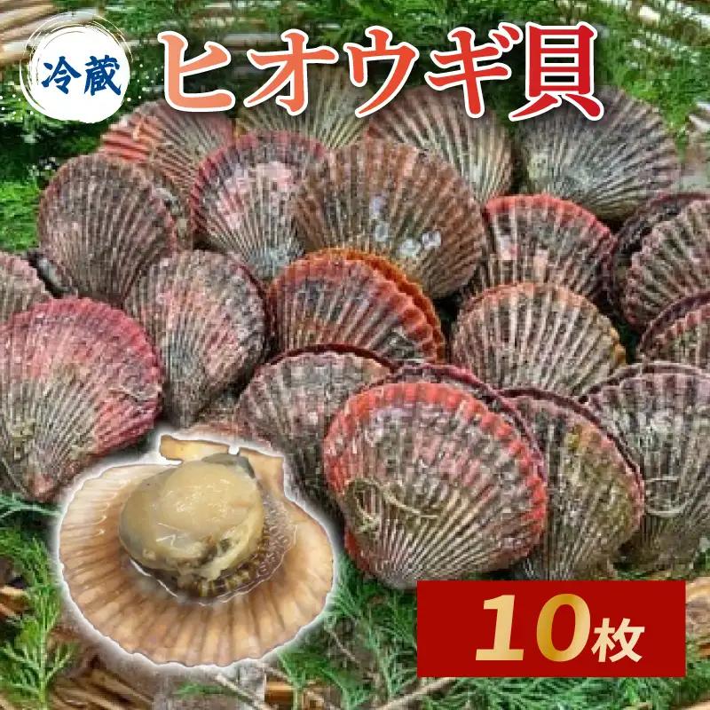ヒオウギ貝10個入（加熱用）【GWGG693】