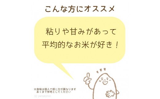 愛知県産コシヒカリ 5kg　※定期便6回　こめ コメ ごはん 安心安全なヤマトライス 米 白米 国産 精米 5キロ　H074-611