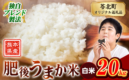 肥後うまか米 熊本県産ブレンド米約20kg(白米) 熊本県産 ふるさと納税 白米 精米 米 こめ コメ お米 おこめ《9月下旬-11月上旬頃出荷》
