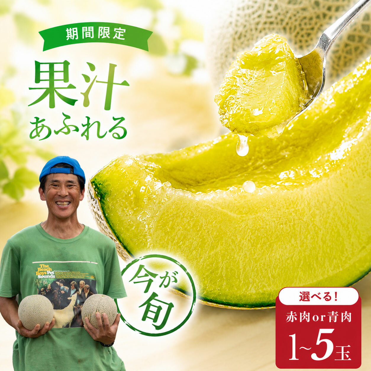 【ふるさと納税】 【2027年先行予約】 メロン イバラキング むつみレッド 青肉 赤肉 1玉 〜 5玉 1.2kg 〜 4.5kg 果物 フルーツ 国産 meron melon 産地直送 ギフト 贈答 茨城 鉾田 方波見農園