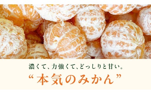フカフカで栄養たっぷりの土が、元気な果実を育みます。