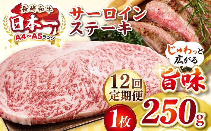 
【全12回定期便】【A4〜A5ランク】長崎和牛 サーロインステーキ 250g（250g×1枚）《壱岐市》【株式会社MEAT PLUS】 肉 牛肉 黒毛和牛 サーロイン ステーキ ご褒美 ギフト 贈答用 ご褒美 冷凍配送 A4 A5 [JGH126]
