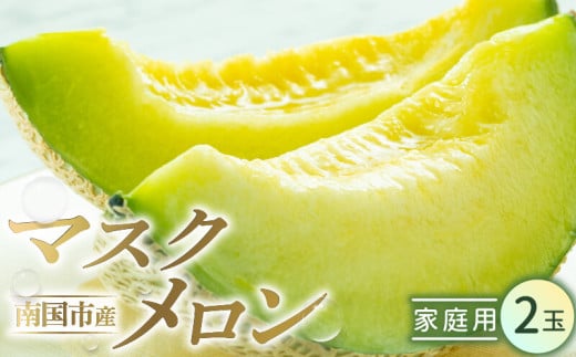 ご家庭用 メロン 2玉 | マスクメロン 2個 フルーツ 果物 厳選 高級 青肉メロン 人気 デザート ギフト プレゼント 贈り物 くだもの 旬 お取り寄せ 訳アリメロン 甘い 青肉 メロン 高糖度メロン 先行予約 訳あり 産地直送メロン 訳ありメロン 2万円 20000 万円 高知県 南国市