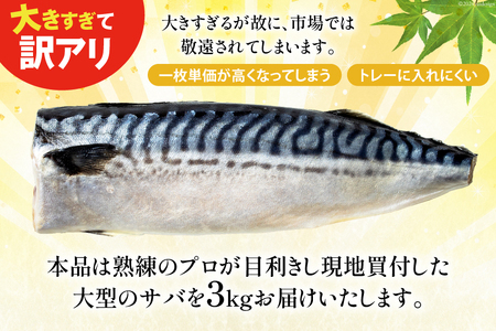 訳あり 塩サバ 3kg [宮城県 気仙沼市 20564146] サバ