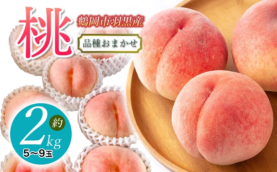 【令和8年産先行予約】JA庄内たがわの桃（品種おまかせ） 約2kg（5～9玉入） 鶴岡市羽黒地域産　K-830