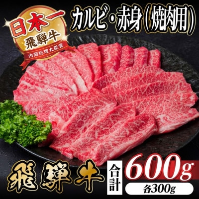 飛騨牛 厳選カルビ・赤身(焼肉・BBQ用)600g　小分け　黒毛和牛　A4～A5等級【配送不可地域：離島】【1543762】