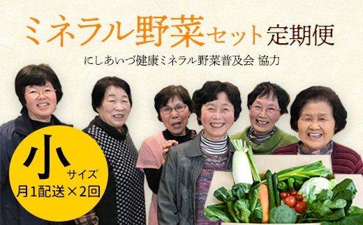 
西会津ミネラル野菜セット定期便（小）2回 F4D-0127
