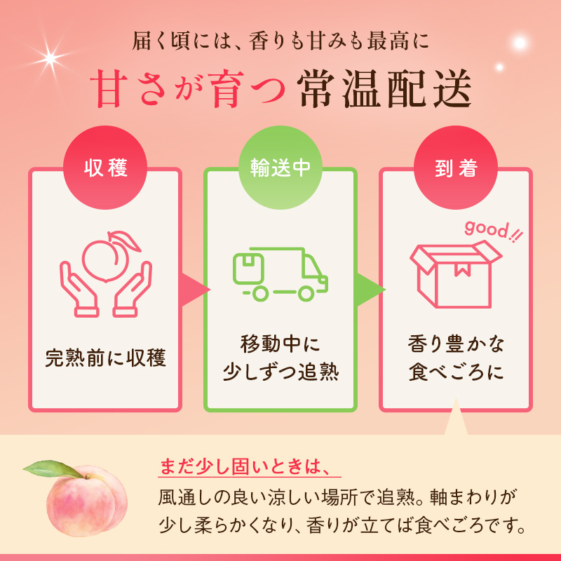 【2026年出荷分先行予約】福島県産 紅黄金桃 約2kg (5～7玉) 菅野農園FruitsProvider 数量限定 大きめ 伊達の桃 桃 フルーツ 果物 もも モモ momo F20C-641