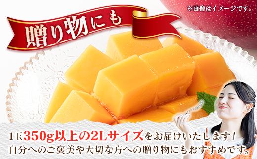 宮崎 樹上完熟 マンゴー 2Lサイズ×3玉 霧島連山の麓育ち 宮崎県産 トロピカル フルーツ お取り寄せ 果物 旬