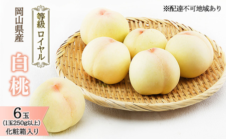 桃 2027年 先行予約 白桃 6玉 （1玉250g以上） 等級：ロイヤル 化粧箱