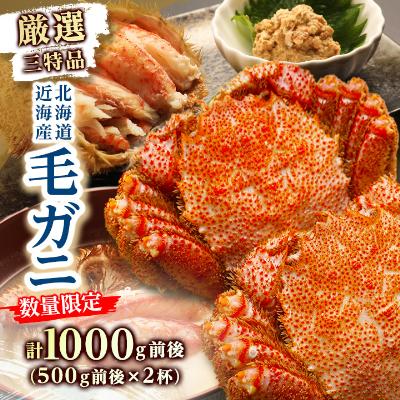 ふるさと納税 八雲町 【数量限定】厳選3特品 北海道近海産毛ガニ 500g前後×2杯 海鮮 北海道 八雲町