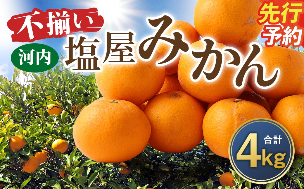 
                  ＜ R8年熊本地震復興支援 ＞【不揃い】選べる 河内 塩屋みかん 4kg 熊本 国産 みかん 蜜柑 ミカン 果物 くだもの フルーツ
                