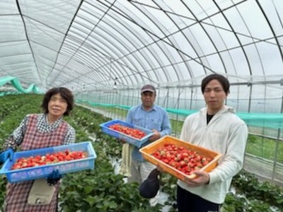 坂本いちご農園 あまおとめ 2㎏