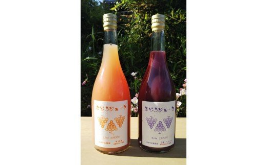 幸田町産 ぶどう使用 100％ジュース 2種 詰め合わせ 無添加 無糖 無加水 ぶどうジュース