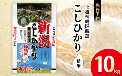 令和7年産 先行予約 新潟県上越柿崎区厳選 こしひかり 精米 10kg 上越市 精米 米 コメ コシヒカリ ブランド米