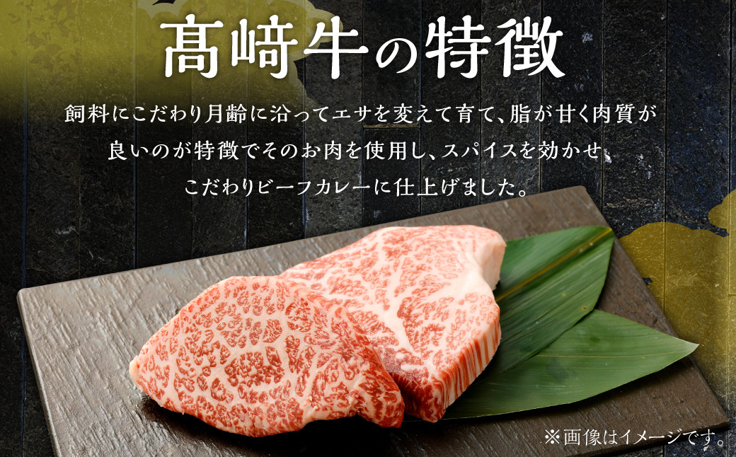 北さつま 髙﨑牛 ビーフカレー 220g×1袋（中辛）