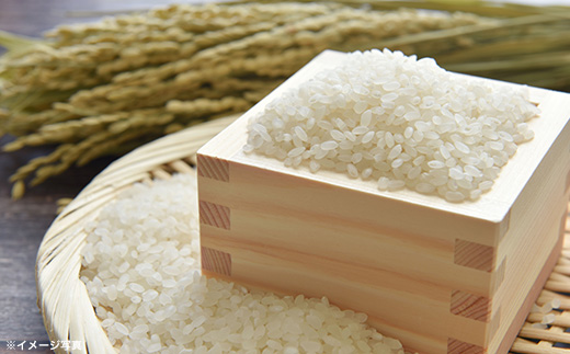 福島県桑折町産こしひかり「銀しゃり」　5kg　【07301-0254】