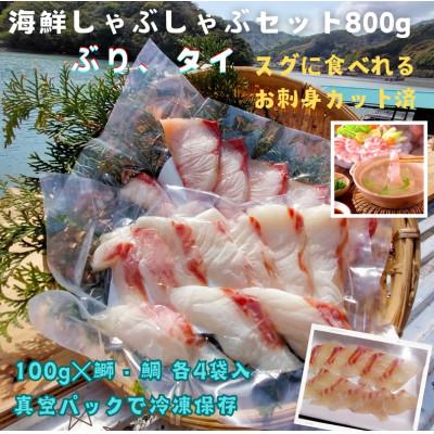 ふるさと納税 南伊勢町 タイ ブリ 海鮮 しゃぶしゃぶ 100g 各4袋 計800g 刺身カット済 伊勢志摩産 産地直送