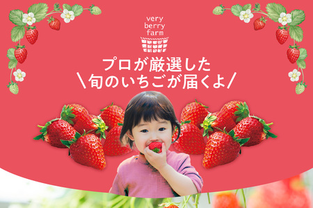 ★先行予約★【期間限定】いちご 2品種 食べ比べセット 苺 イチゴ あきひめ 紅ほっぺ おいCベリー かおり野 フルーツ ビタミン 愛知県 知多市