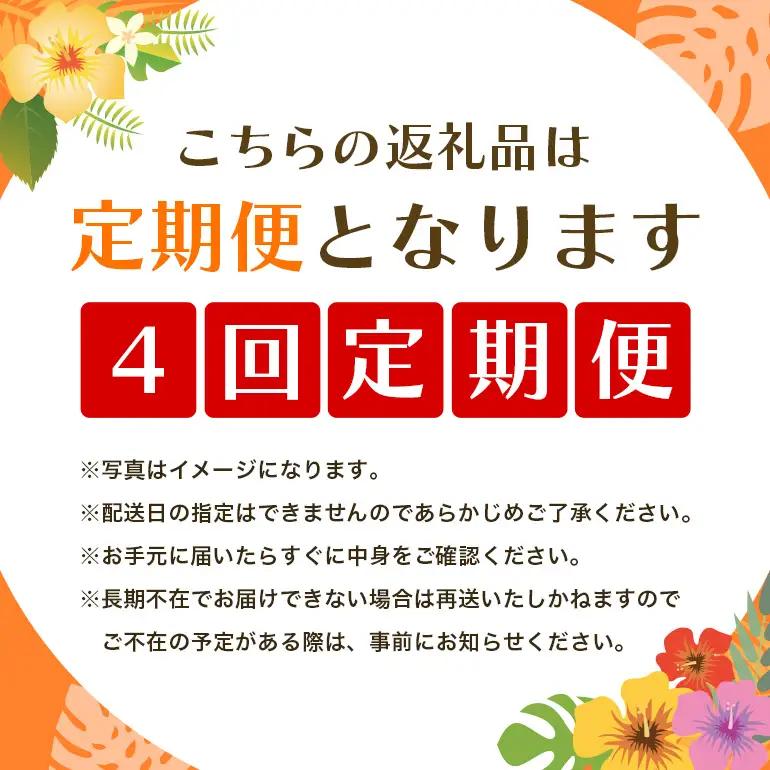 フルーツ 定期便 全 4回 名護パイン園 178-7