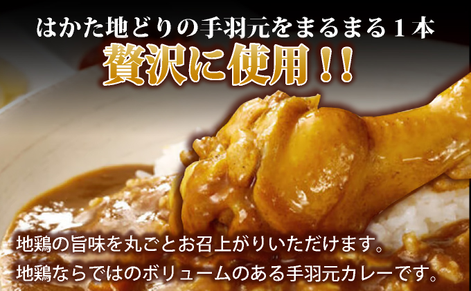 はかた地どり手羽元カレー（レトルト） 5袋